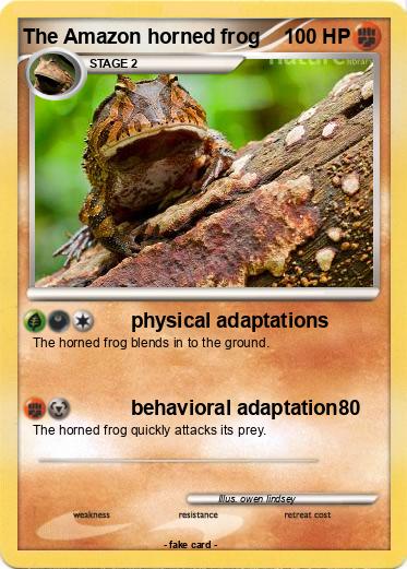 Pokemon The Amazon horned frog
