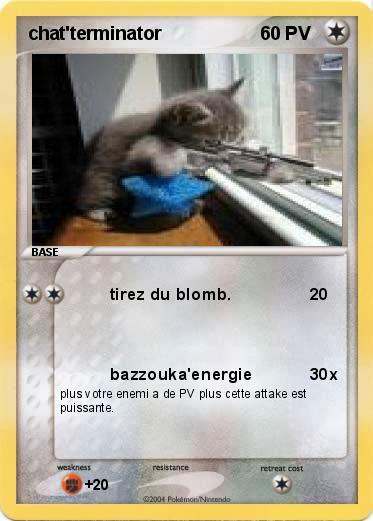 Pokemon chat'terminator