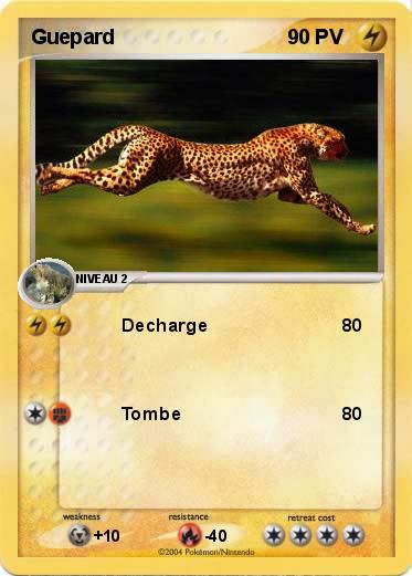 Pokemon Guepard