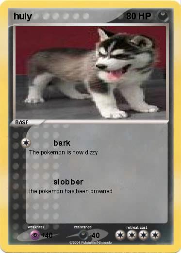Pokemon huly