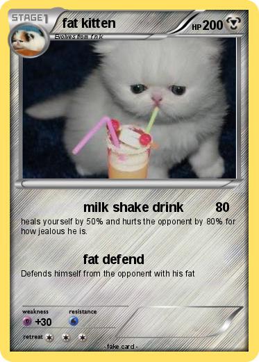 Pokemon fat kitten