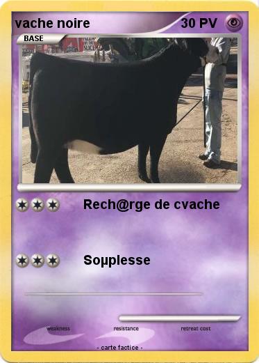 Pokemon vache noire