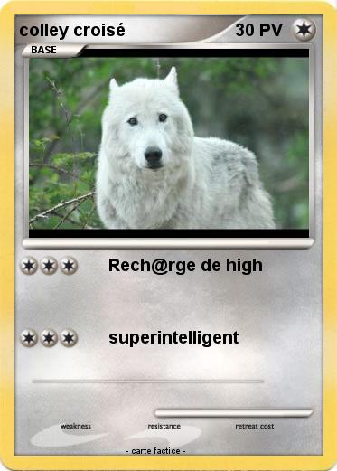 Pokemon colley croisé