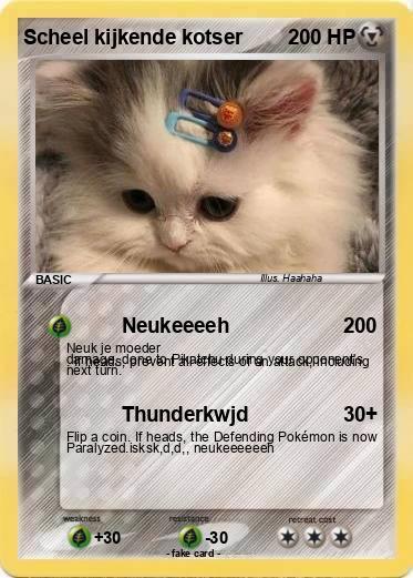Pokemon Scheel kijkende kotser