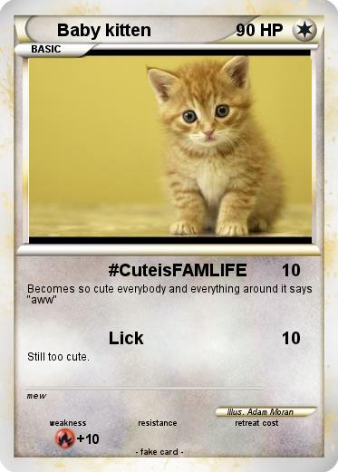 Pokemon Baby kitten
