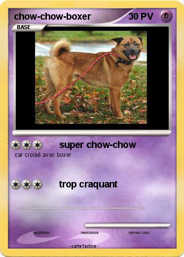 Pokemon chow-chow-boxer