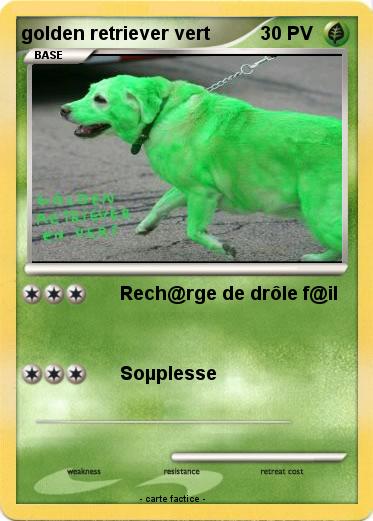 Pokemon golden retriever vert