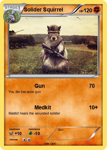 Pokemon Solider Squirrel