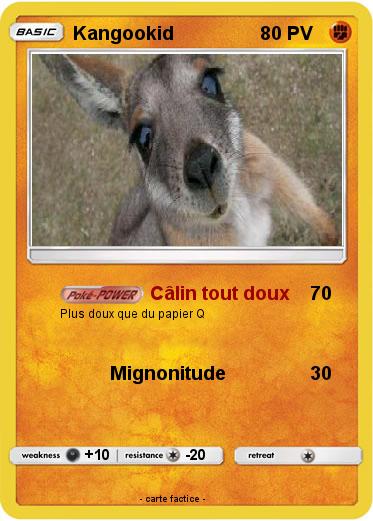 Pokemon Kangookid