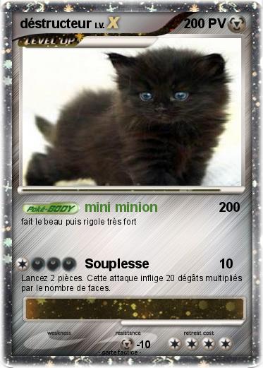 Pokemon déstructeur