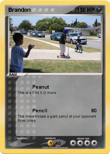 Pokemon Brandon