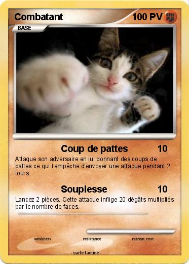 Pokemon Combatant