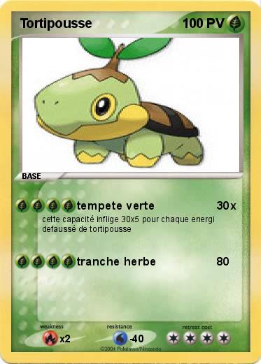 Pokemon Tortipousse