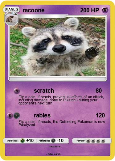Pokemon racoone