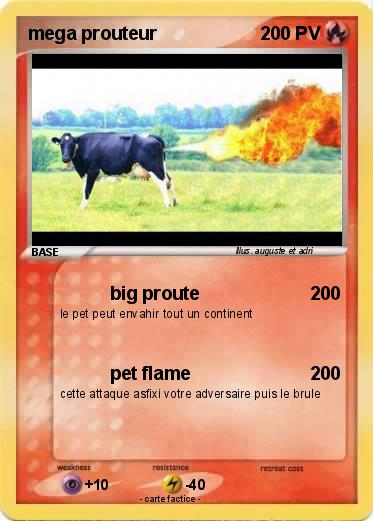 Pokemon mega prouteur