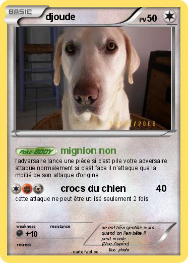 Pokemon djoude