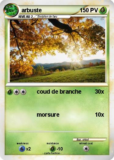 Pokemon arbuste