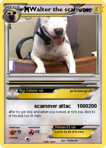 Pokemon Walter the scammer