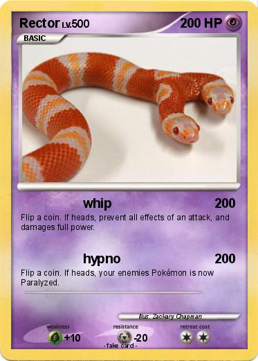 Pokemon Rector