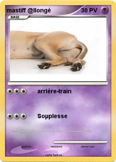 Pokemon mastiff @llongé