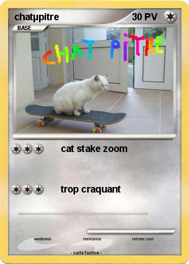 Pokemon chatµpitre