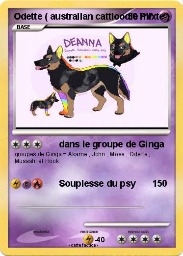 Pokemon Odette ( australian cattloodle mixte )