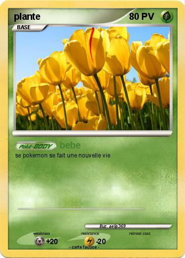 Pokemon plante