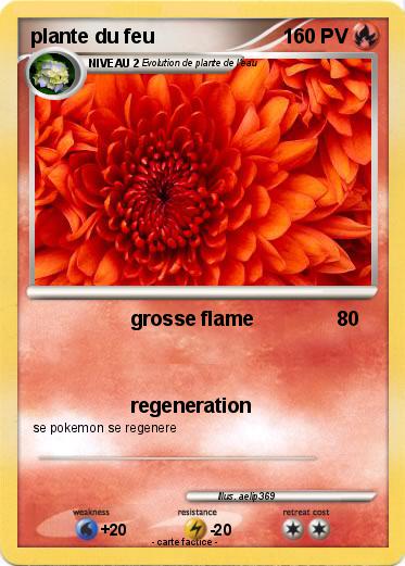 Pokemon plante du feu