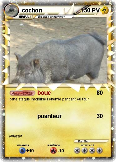 Pokemon cochon