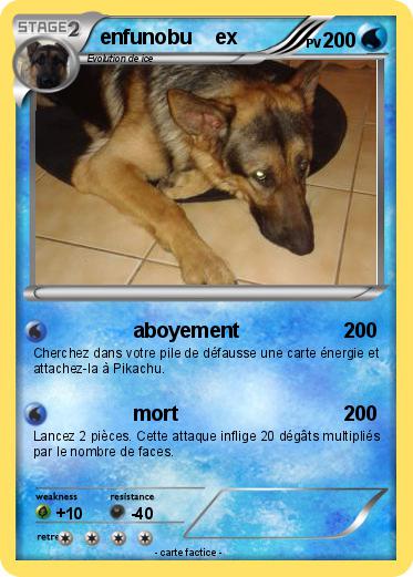 Pokemon enfunobu    ex