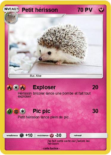 Pokemon Petit hérisson
