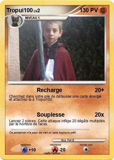 Pokemon Tropui100