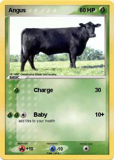 Pokemon Angus