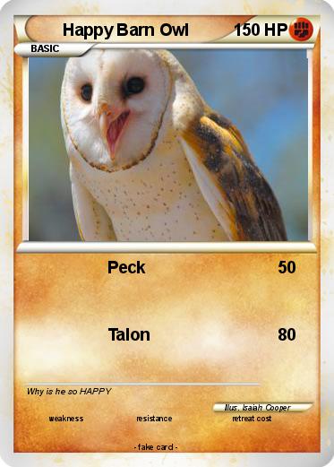 Pokemon Happy Barn Owl