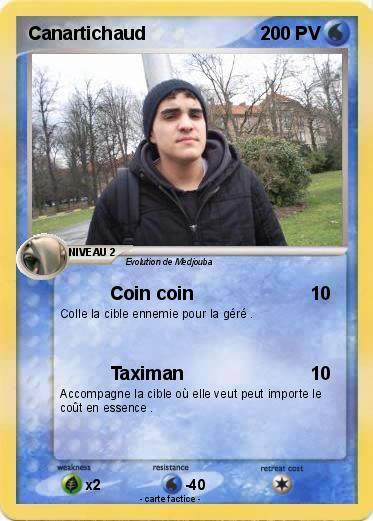 Pokemon Canartichaud