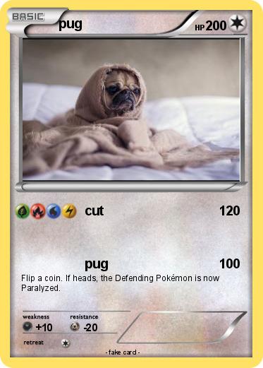 Pokemon pug