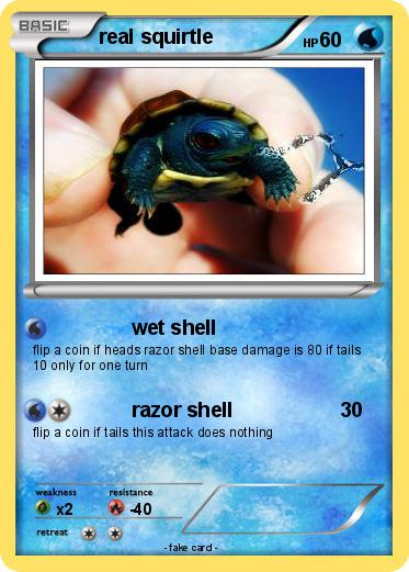 Pokemon real squirtle