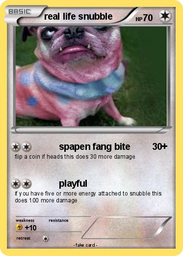Pokemon real life snubble