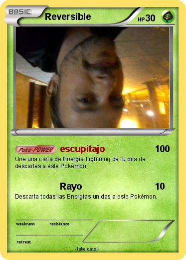 Pokemon Reversible