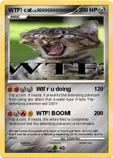 Pokemon WTF! cat