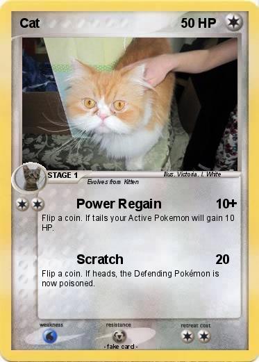 Pokemon Cat