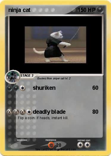 Pokemon ninja cat