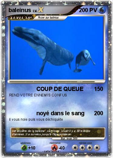Pokemon baleinus