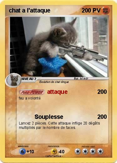 Pokemon chat a l'attaque