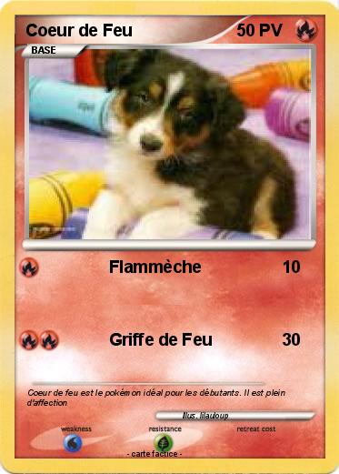 Pokemon Coeur de Feu