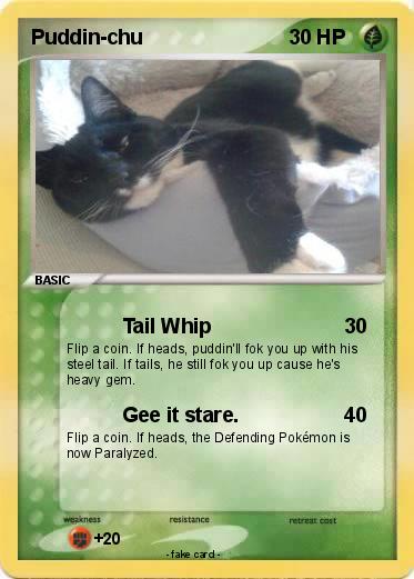 Pokemon Puddin-chu