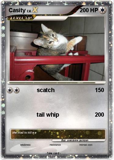 Pokemon Casity