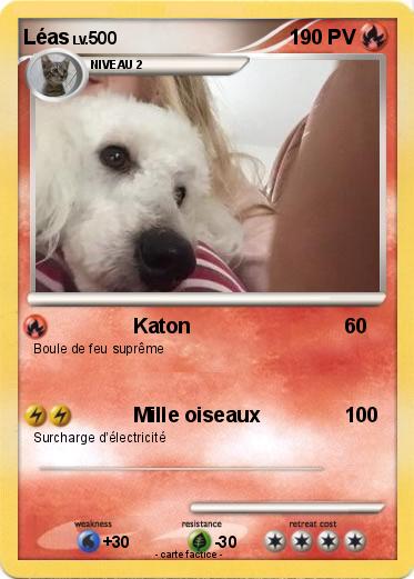Pokemon Léas