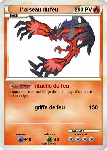 Pokemon l' oiseau du feu