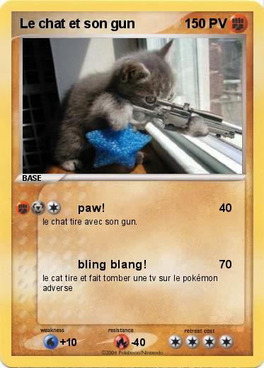 Pokemon Le chat et son gun